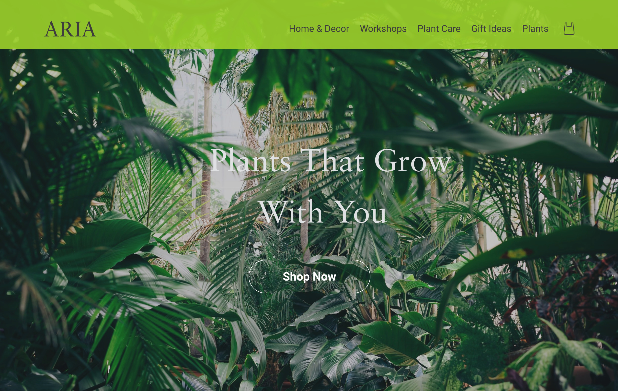 An image of the Plant Shop project.